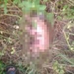 Geger Penemuan Bayi Perempuan Di Semak-Semak Bunar, Tangerang