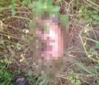 Geger Penemuan Bayi Perempuan Di Semak-Semak Bunar, Tangerang